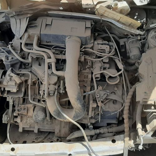 سمند تصادفی