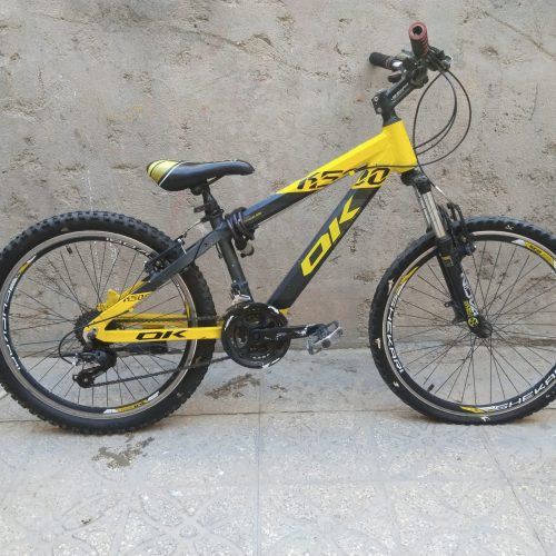 دوچرخه اوکی 24