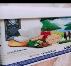 ویزیتور حضوری