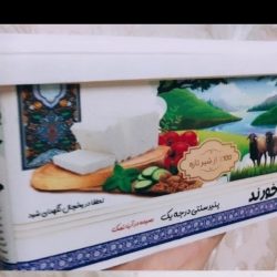 ویزیتور حضوری