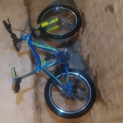 دوچرخه 20 حرفه ای