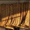 اجاره نانوایی سنگگ در اسلامشهر