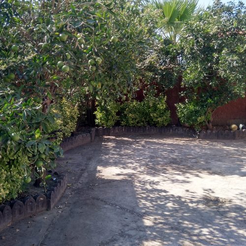 اجاره سالانه ویلا باغ چمستان
