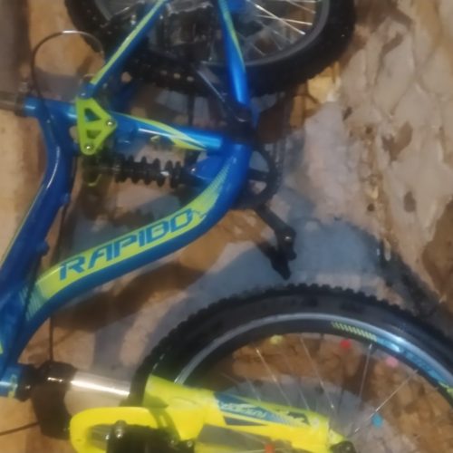 دوچرخه 20 حرفه ای