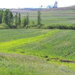 زمین کشاورزی قابل تبدیل