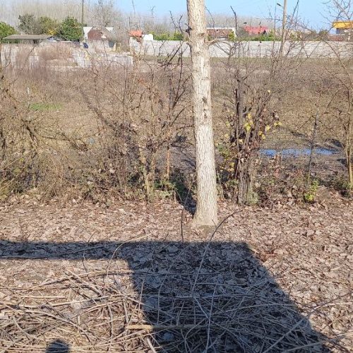 300متر زمین دهکده ساحلی محسن آباد پایین کیاشهر