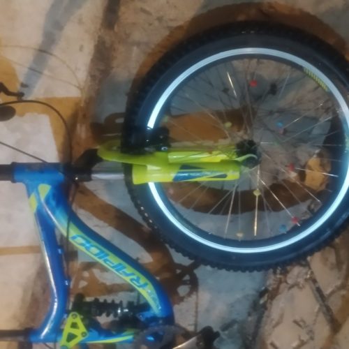 دوچرخه 20 حرفه ای