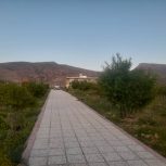 فروش باغ سیخ دارنگون