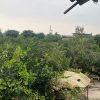 فروش باغ