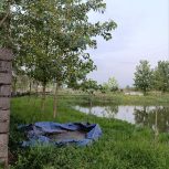 زمین استخر ماهی 3600 متری