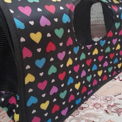 کیف حمل حیوانات خانگی