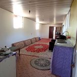 سوییت با نمای جنگل