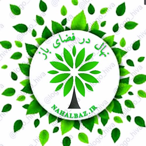 طراحی لوگو هیوا