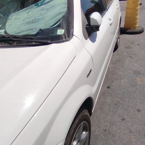 دنا تیپ 2 بی رنگ