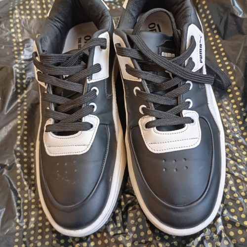 پیشوا شهرک نقش جهان