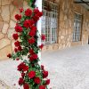 فروش باغ ویلا