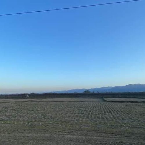زمین کشاورزی
