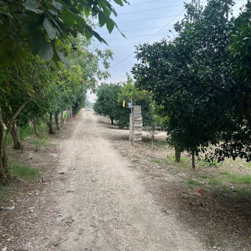 فروش باغ