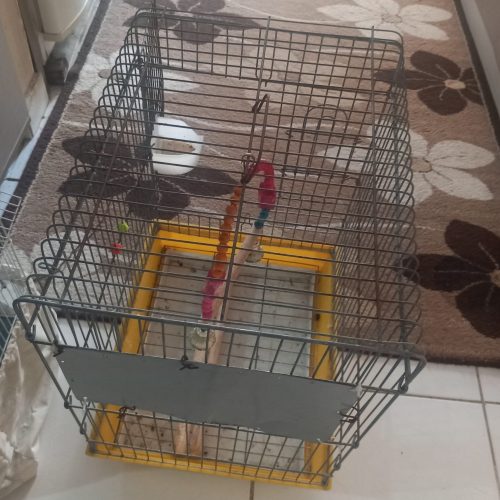 قفس پرنده سالم