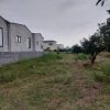 زمین 1000 متر بافت کامل