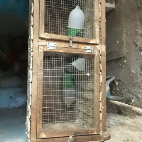 جفت کن دوتایی