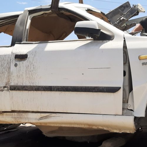 سمند تصادفی