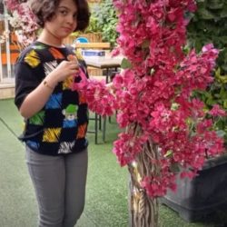 وکیل پایه یک دادگستذی