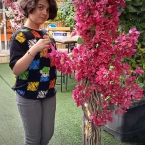 وکیل پایه یک دادگستذی