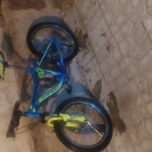 دوچرخه 20 حرفه ای