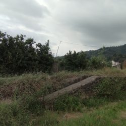 فروش باغ و زمین