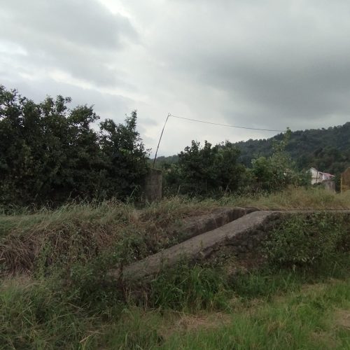 فروش باغ و زمین