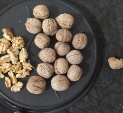 گردو درجه یک