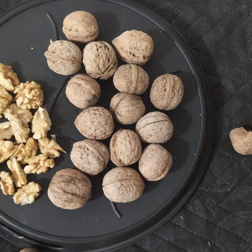 گردو درجه یک