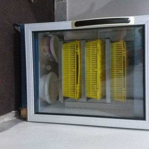 دستگاه جوجه کشی