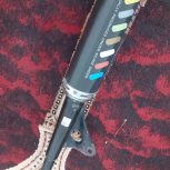 اگزوزهزارهندی