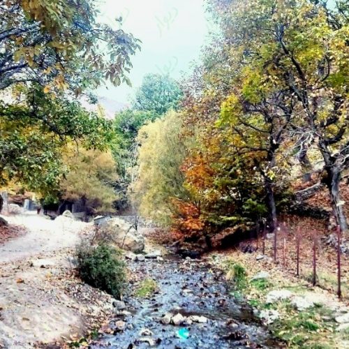 124 متر زمین در دربند ولیان