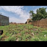 زمین مسکونی گنبدکاووس تقی آباد