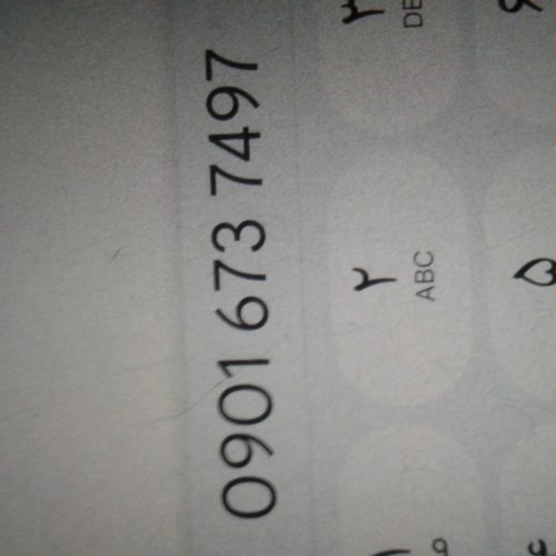 عروس هلندی باقفس