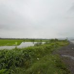 زمینی به مساحت 1454 ورودی شهر شلمان