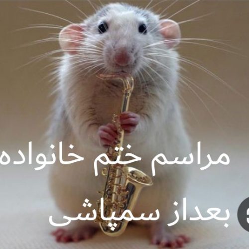 سمپاشی وطعمه گذاری حشرات موذی