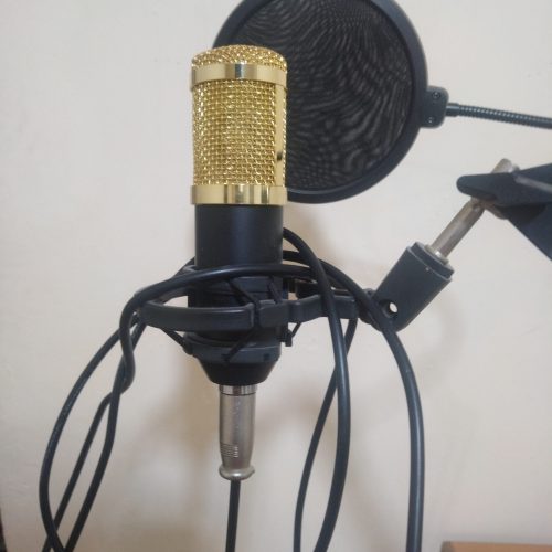 میکروفون Bm 800