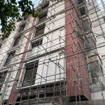 والپست رابیتس کاری نما