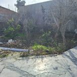 زمین حیاتی