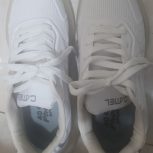 کتونی زنانه