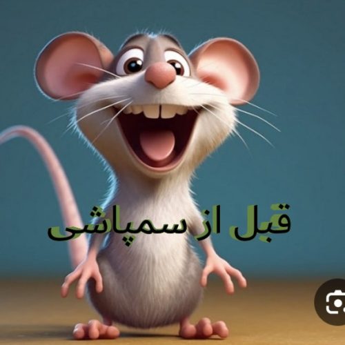 سمپاشی وطعمه گذاری حشرات موذی