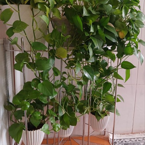 استند گل فلزی