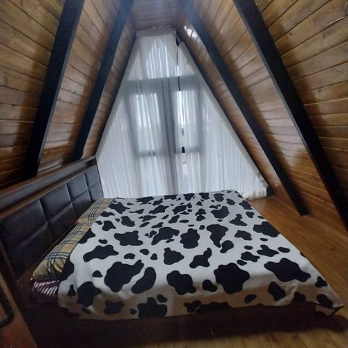 فروش کلبه سویسی جنگلی با استخر و جکوزی سرپوشیده