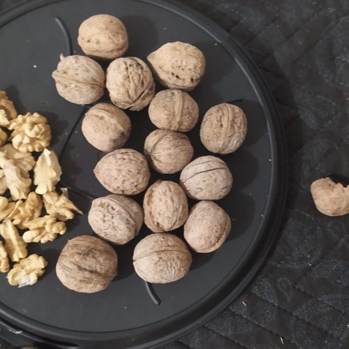 گردو درجه یک