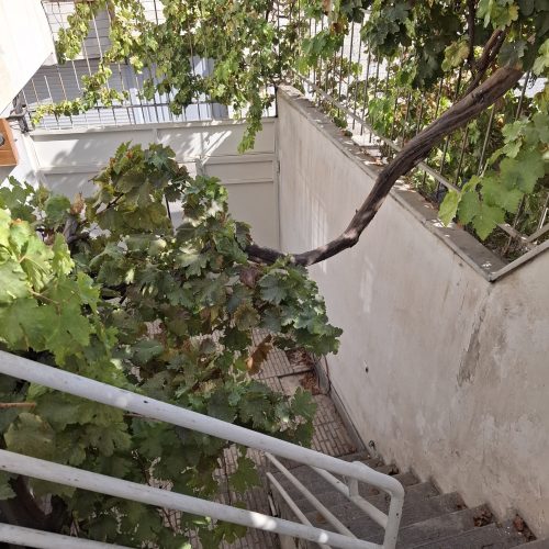 اجاره طبقه دوم خانه ویلایی