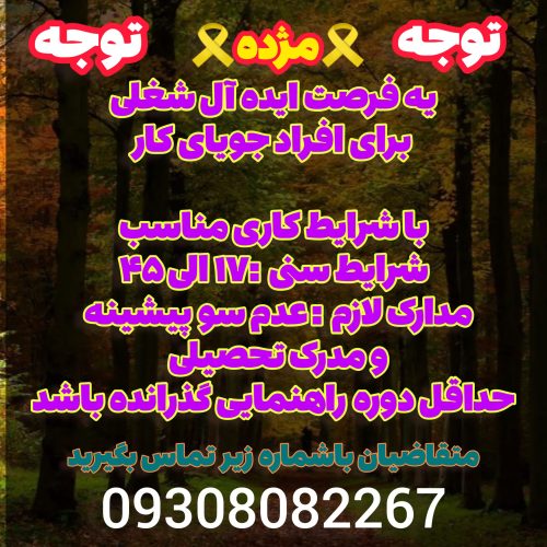 فرصت ایده آل شغلی